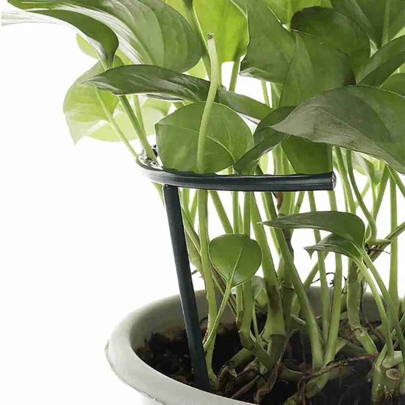 B14C Non-Connectable Plastic Plant Support Cage- 12-Piece Stand Double Fin Tail For Indoor Gardening