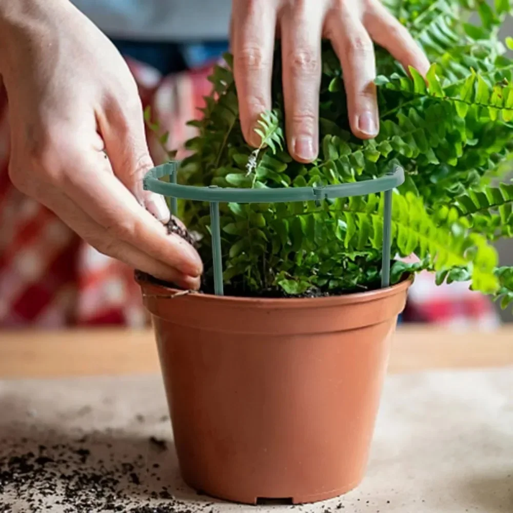 4 pezzi di supporto per piante in plastica palo semicerchio staffa di salita adatto per piante Bushy ortensie rose supporto da giardinaggio strumento Bonsai