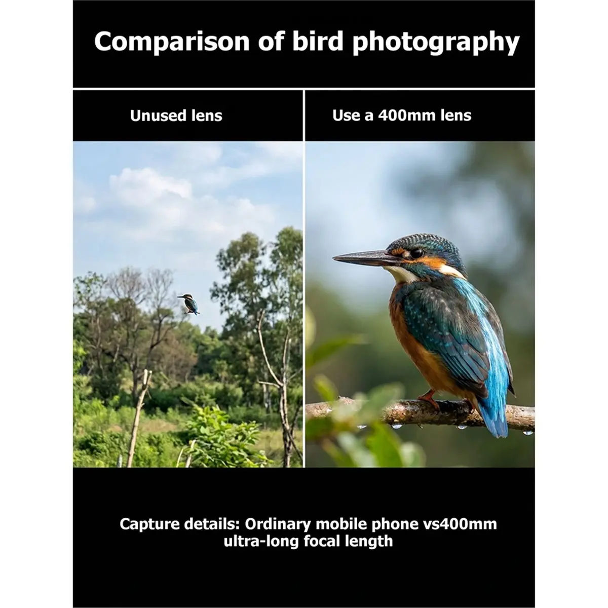 400mm Mobile Phone Telephoto Additional Lens Universal Long Range Photography Professional Phone Telephoto T-Mount