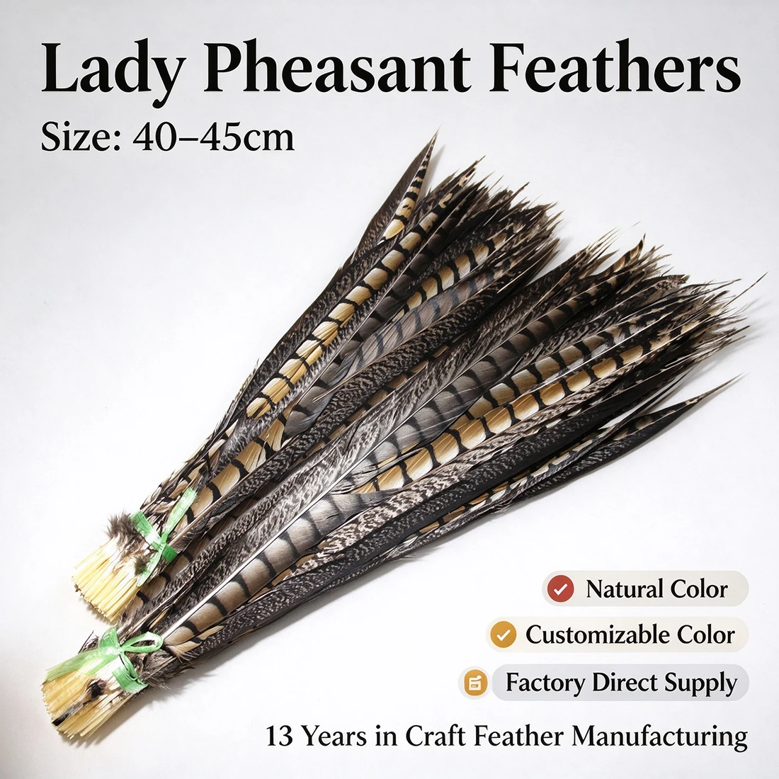 Lady Pheasant Feathers 40-45cm/16-18 Inch for Crafts And DIY Projects Natural Bird Feathers for Fashion Accessories