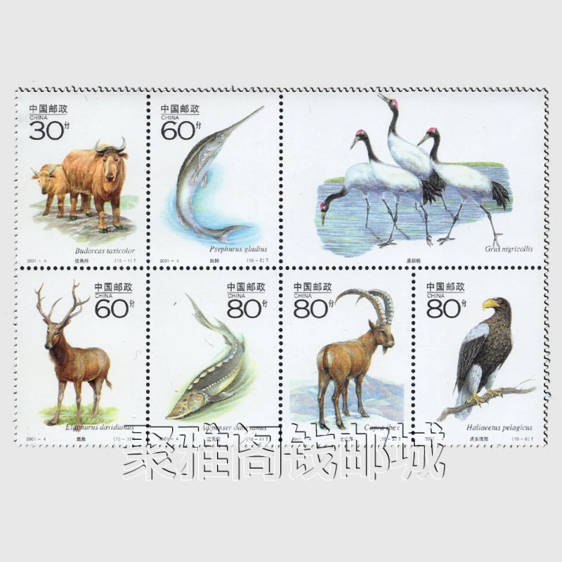 China Post National Protected Wildlife 28-Briefmarken-Porto-Komplettset Neues Sammler-Postmarkenmaterial für Scrapbooking – Detail 4