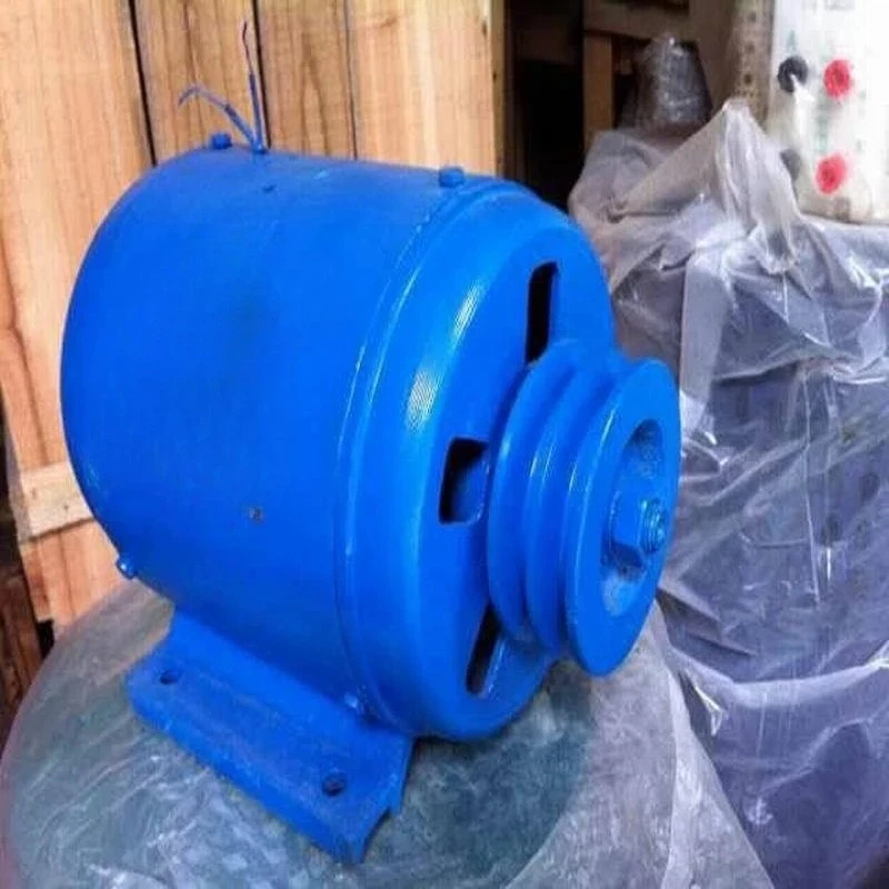 1000W single-phase high-efficiency permanent magnet generator 1kw
