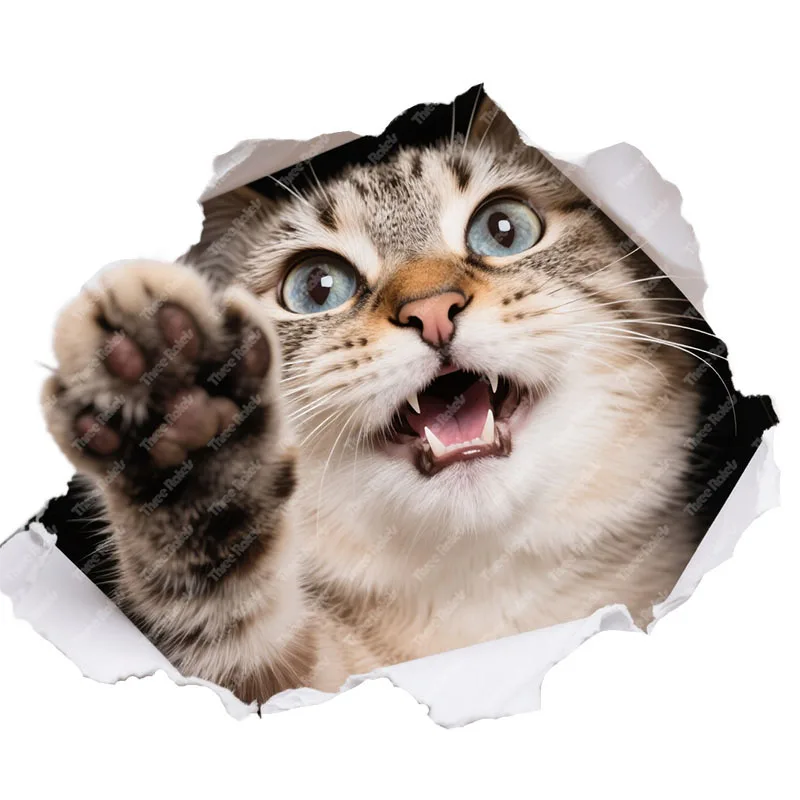 Three Ratels CD229 funny Tabby catwall stickers for home decoration pet supplies decals car stickers waterproof