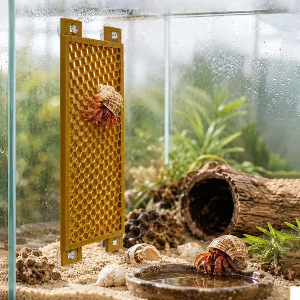 PETG Material Hermit Crab Climbing Toy Anti-Slip Honeycomb/Round Hole Reptile Climbing Toy Easy Installation Secure Suction Cup