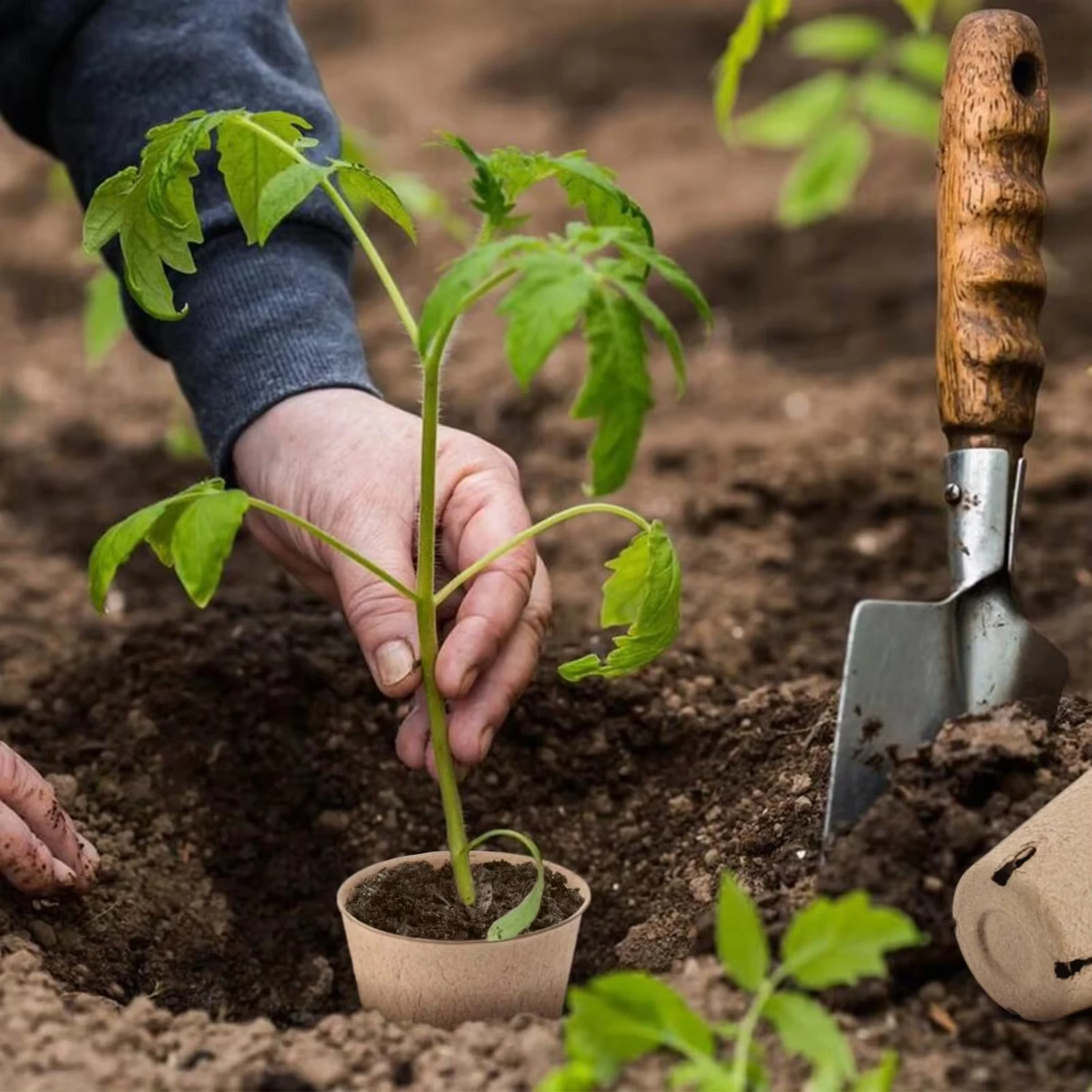 Nieuwe 50 Packs 3 Inch Turfpotten Plant Starters Zaailing Met 15 Stuks Plantenlabels, Biologisch Afbreekbare Kruidenzaad Starterpotten Kits