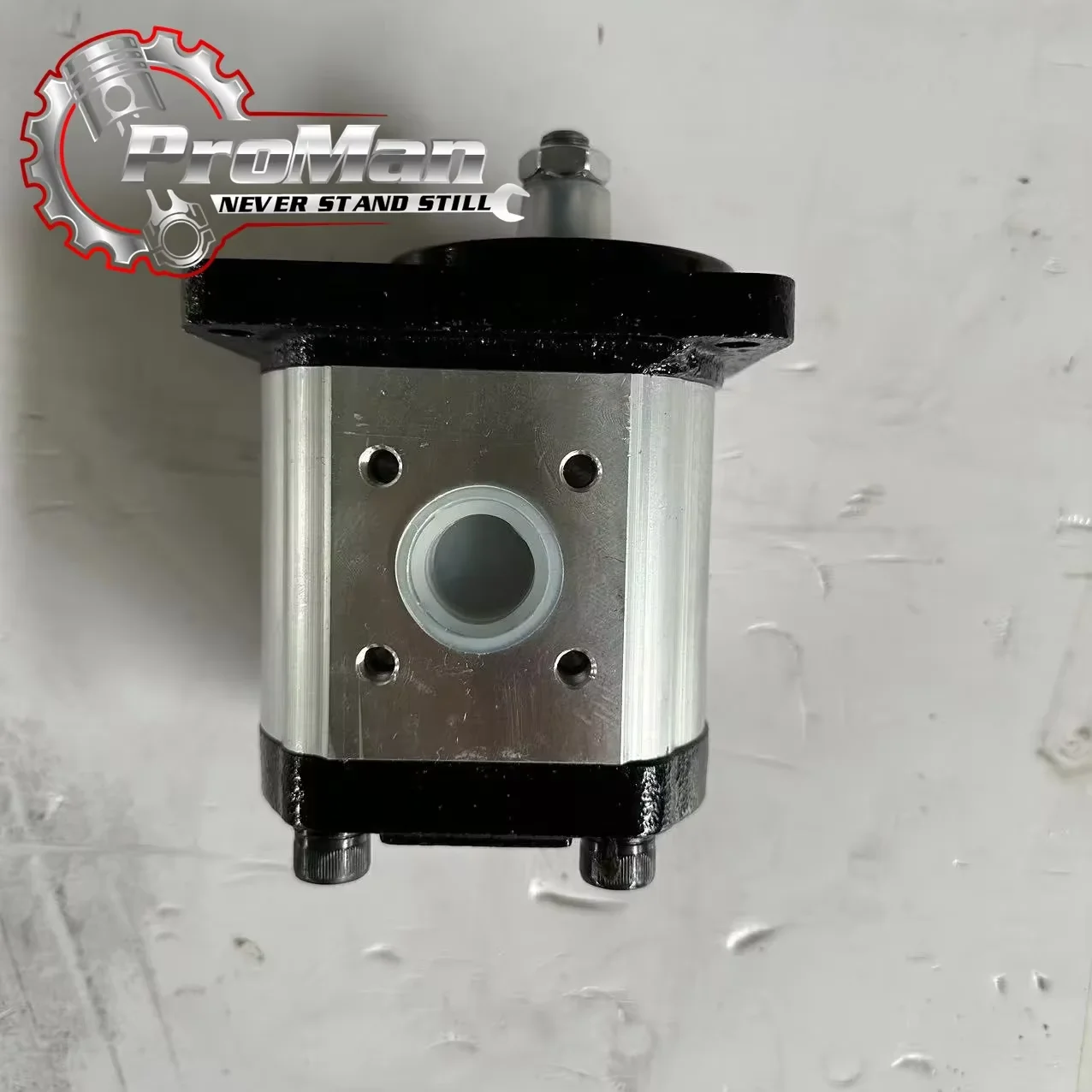 Hydraulic Motor Hydraulic Pump 2196420 Fast Delivery Suitable for SCANIA