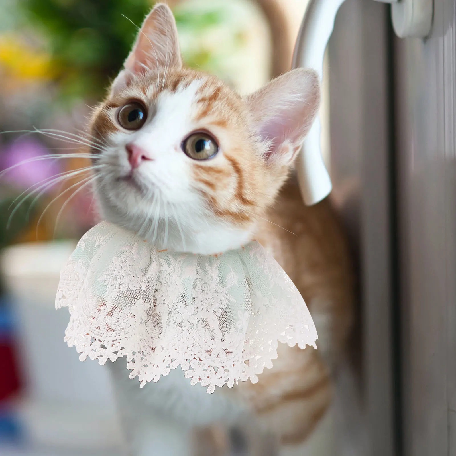 

Pearl Cat Lace Collar Adjustable Neck Scarf Flexible Straps for Parties Weddings Photo Shoot Pet Necklace Cat Collar