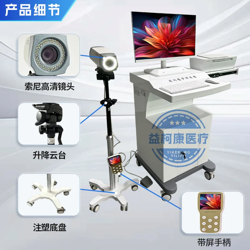 Digital electronic colposcopy with screen handle Gynecological endoscope high definition medical equipment Instrument