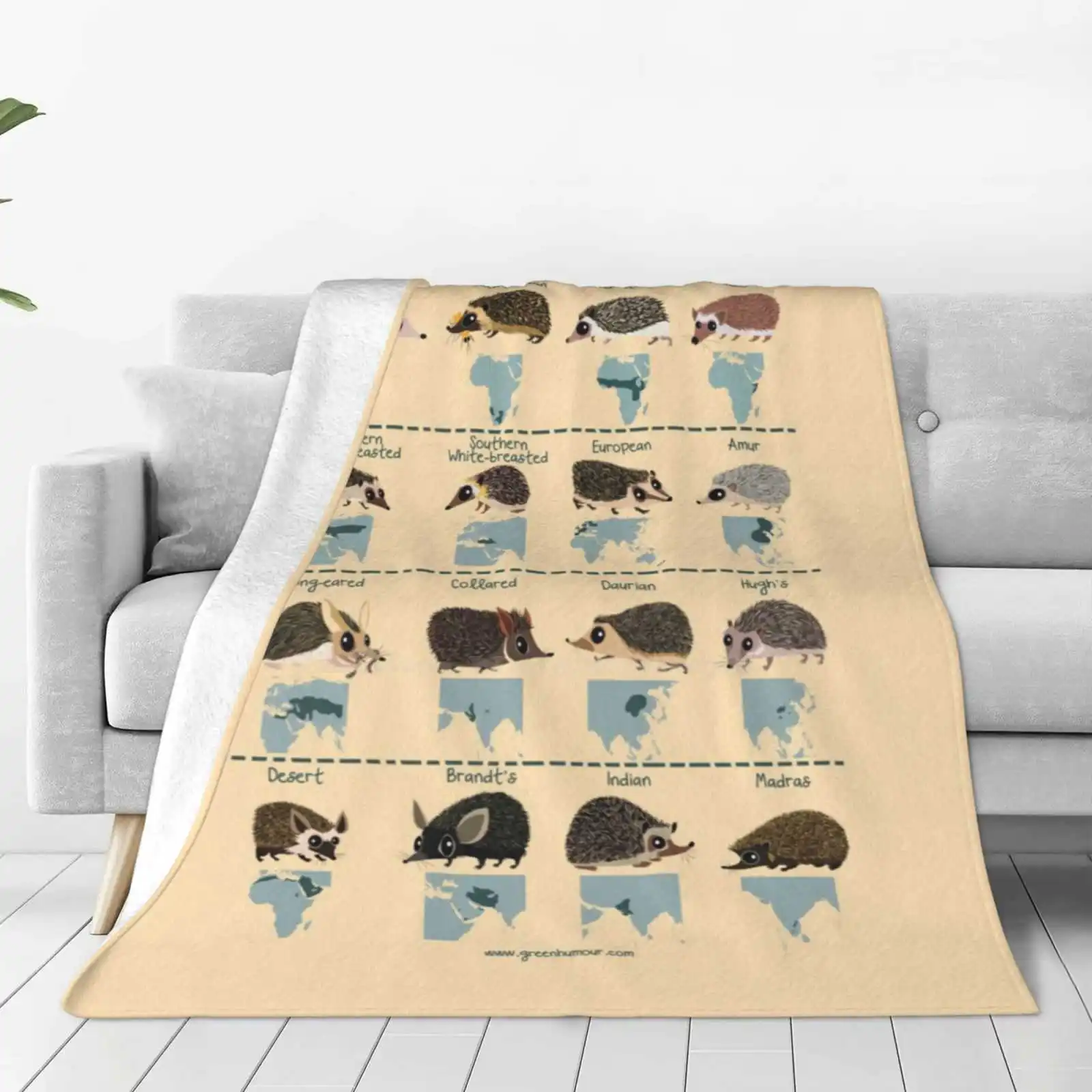 Hedgehogs Of The World All Sizes Soft Cover Blanket Home Decor Bedding Cartoons Illustratoion Infographic Maps Wildlife