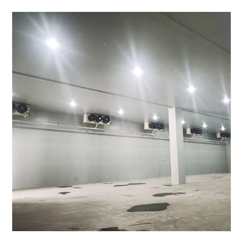 Large Polyurethane Insulation Walk-In Cooler Freezer Room Blast Tunnel Container Design Fusheng Motor Gear for Frozen