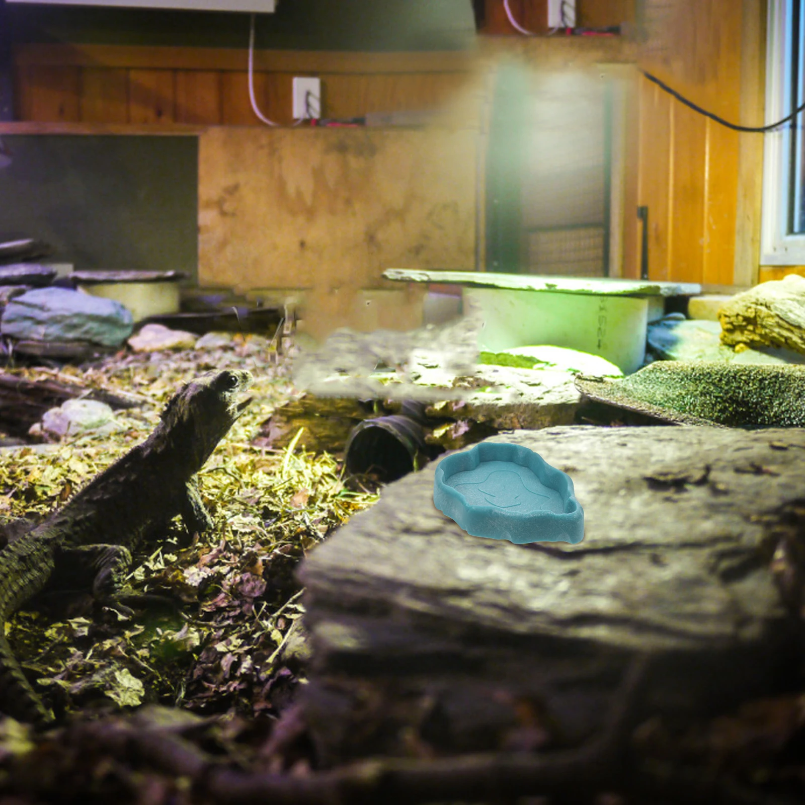 

Turtle Feeding Bowl Reptile Food Drinking Tray Multi Functional Space Saving Easy Clean Pet Bowl for Chameleon Lizard Snake