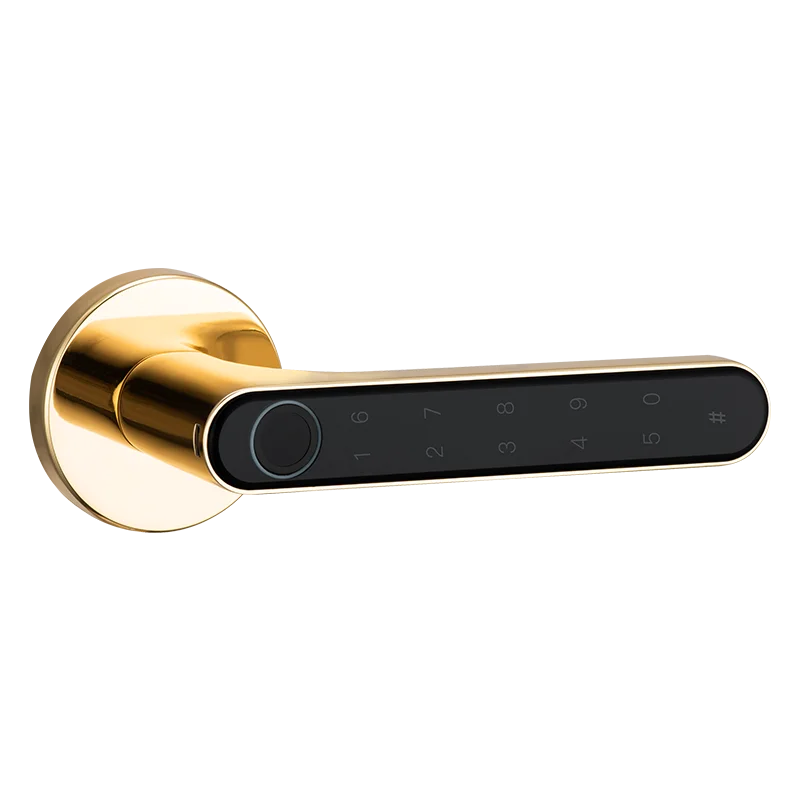 

Indoor fingerprint lock, silent office smart lock, wooden door password, spherical universal bedroom