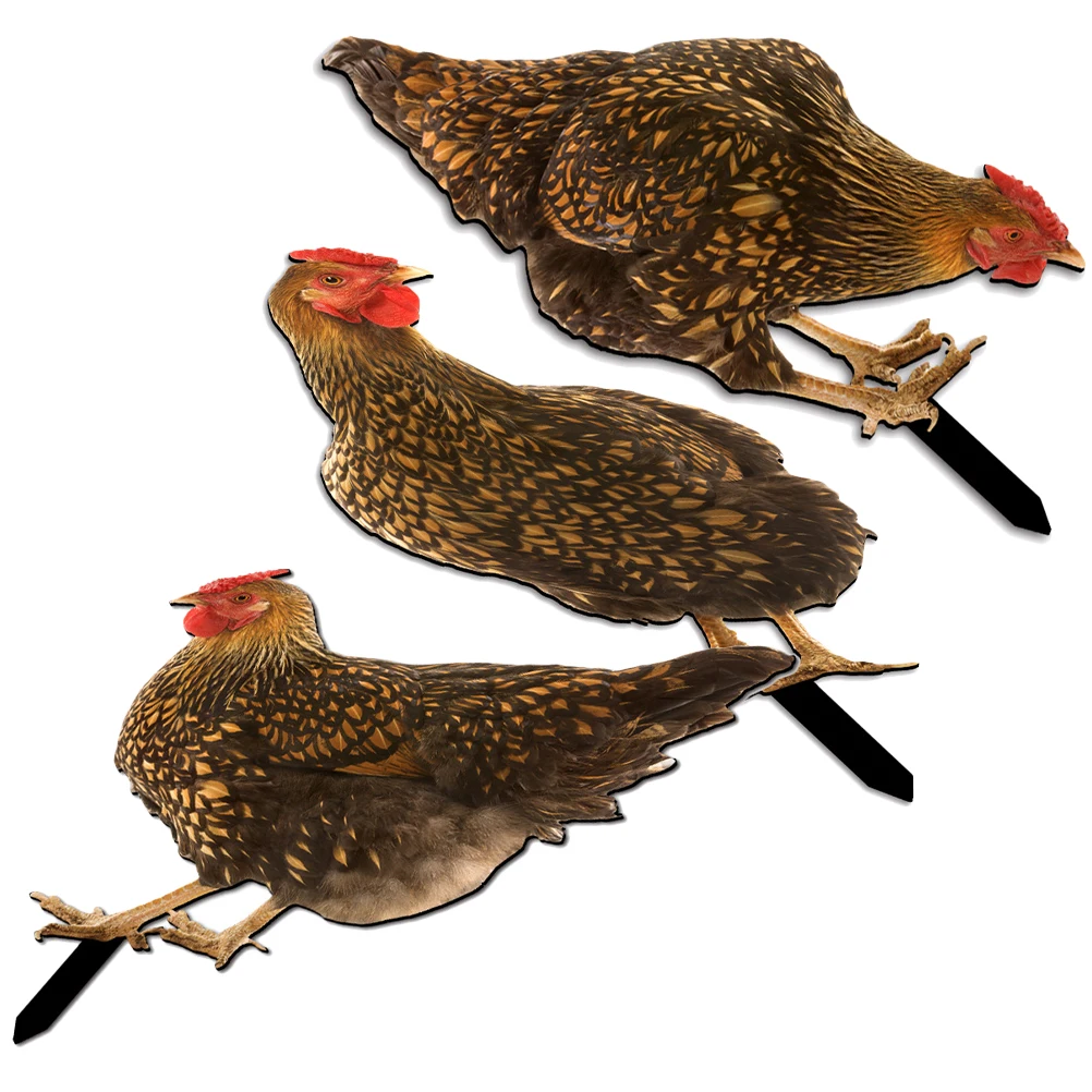 

Simulated Hen Decoration Realistic Acrylic Garden Stake Lawn Chicken Yard Ornaments Outdoor Decorations Stakes