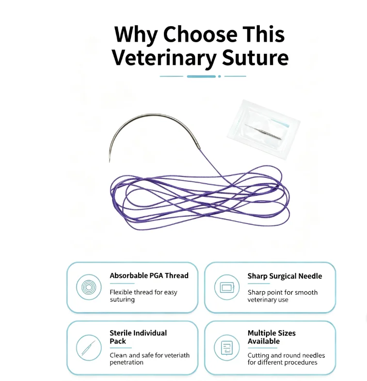 PGA absorbable surgical sutures with needles for veterinary use, braided PGA sutures for pet surgery, USP 2-0/3-0, 90cm long