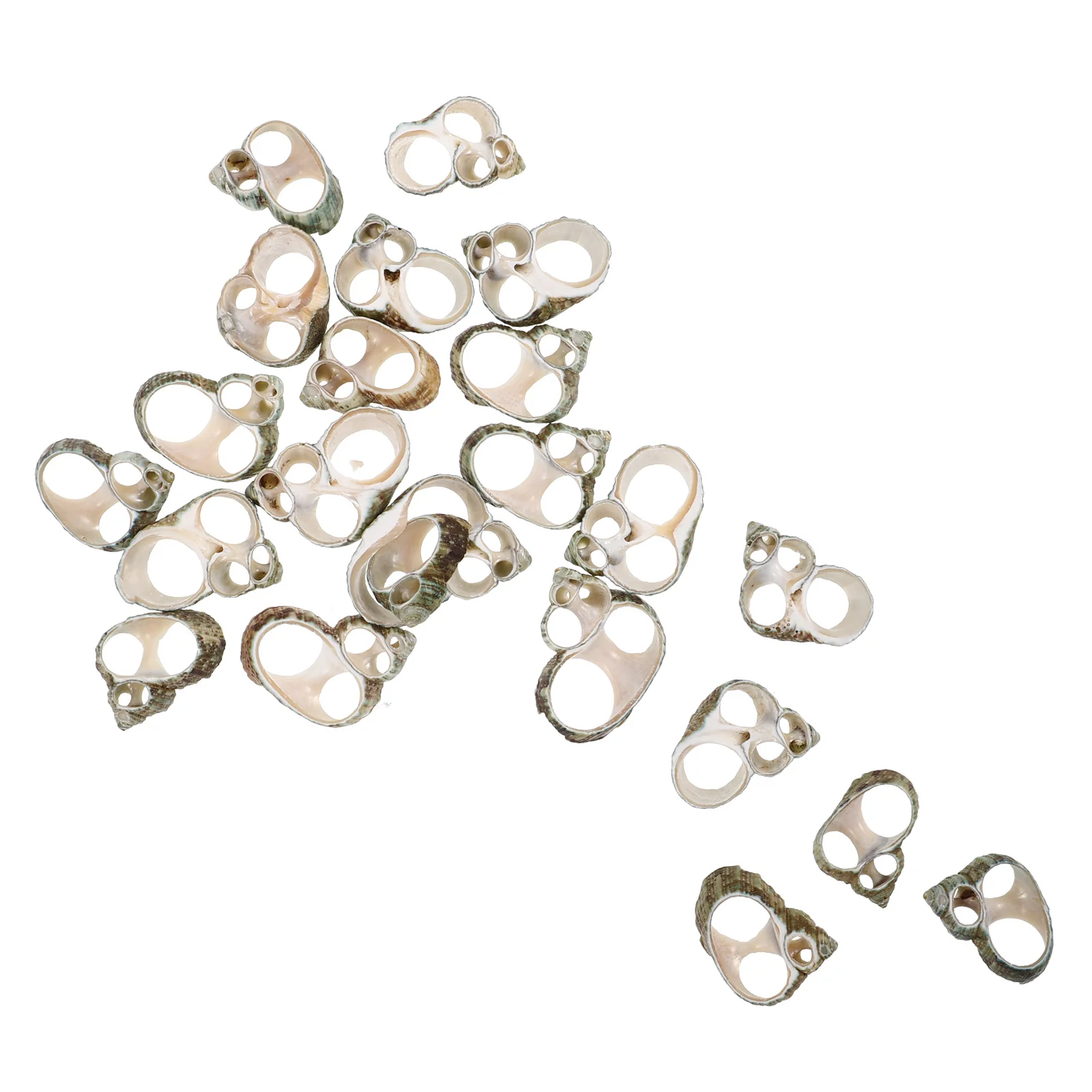

20Pcs Conch Shell Slices Natural Craft Supplies for DIY Jewelry Making Beach Nautical Home Decor Wedding Ocean-Themed Projects