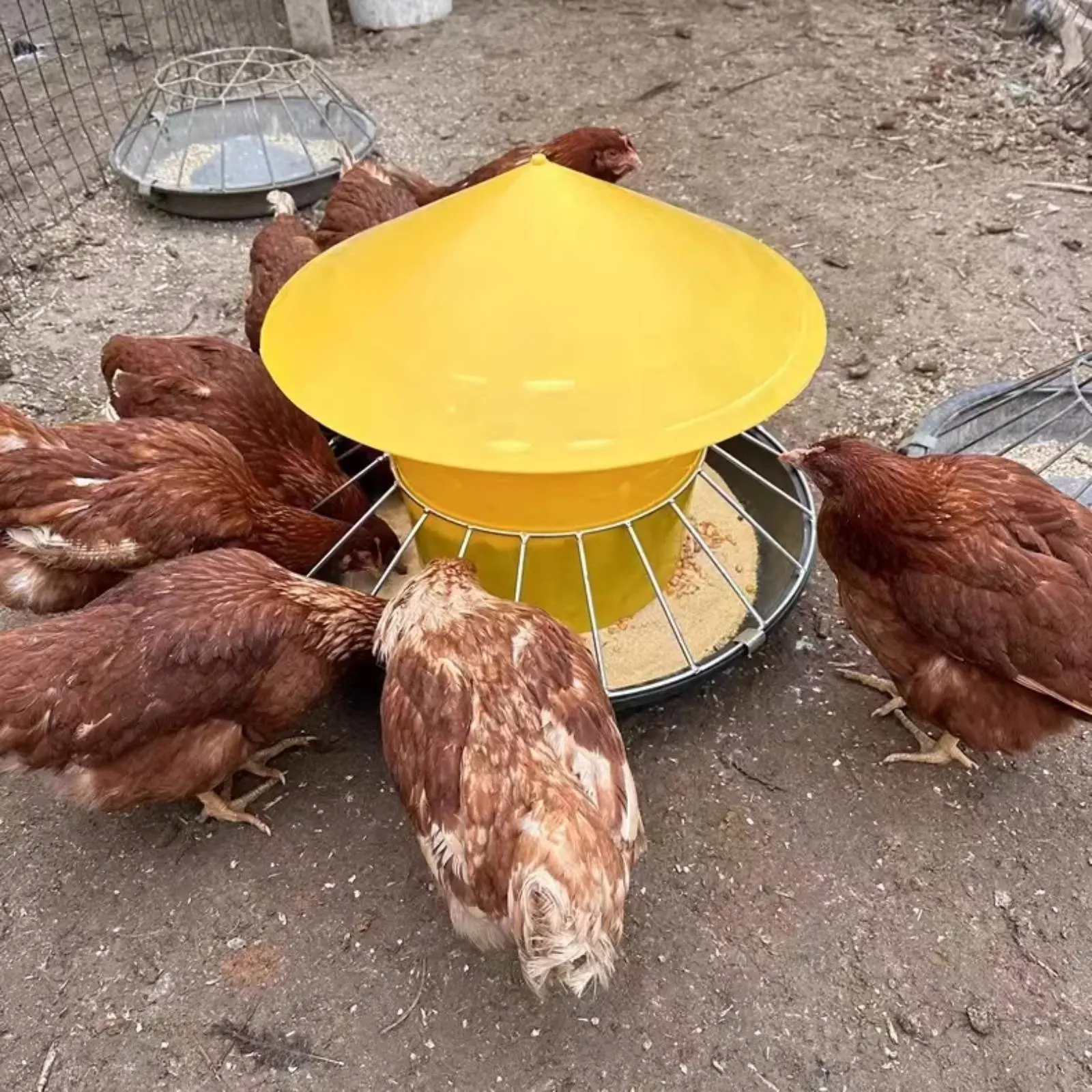 Round Fowl Feeder Large Capacity Fowl Feeder Chicken Feeding Trough Easy Installation Automatic Nourishment Container Anti-Perch view 4