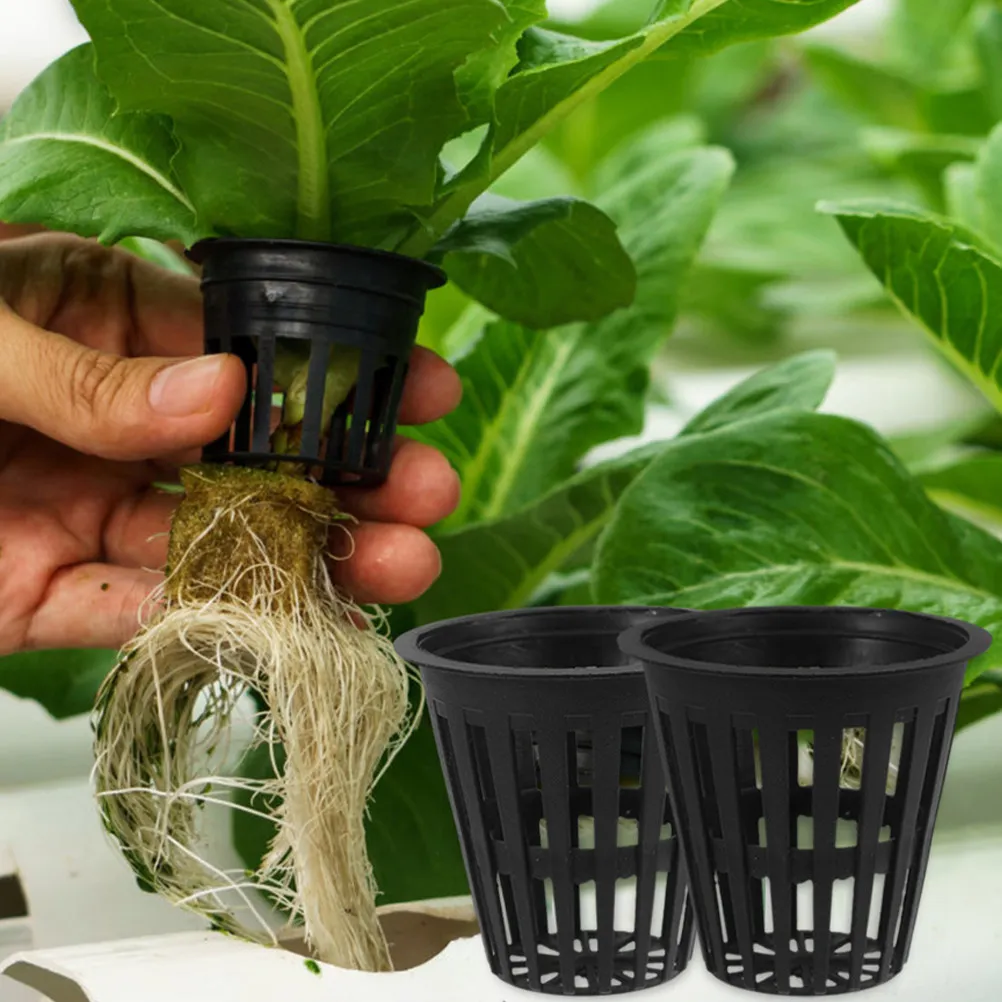 5Pcs Hydroponic Plant Growing Baskets Plastic Slotted Mesh Net Cups Vegetables Orchid Aquaponics Starter Containers