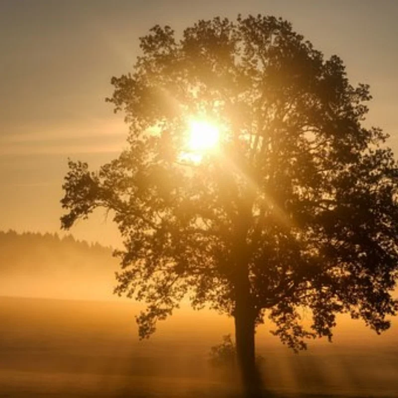 RC AXIAL SCX10 МЕТАЛЛИЧЕСКАЯ ШАССИ РАМА 313 ММ КОЛЕСНАЯ БАЗОВАЯ С ПЕРЕДНЯЯ КОРОБКОЙ ПЕРЕДАЧА ДЛЯ 1/10 JEEP WRANGLER Оболочка для лодки