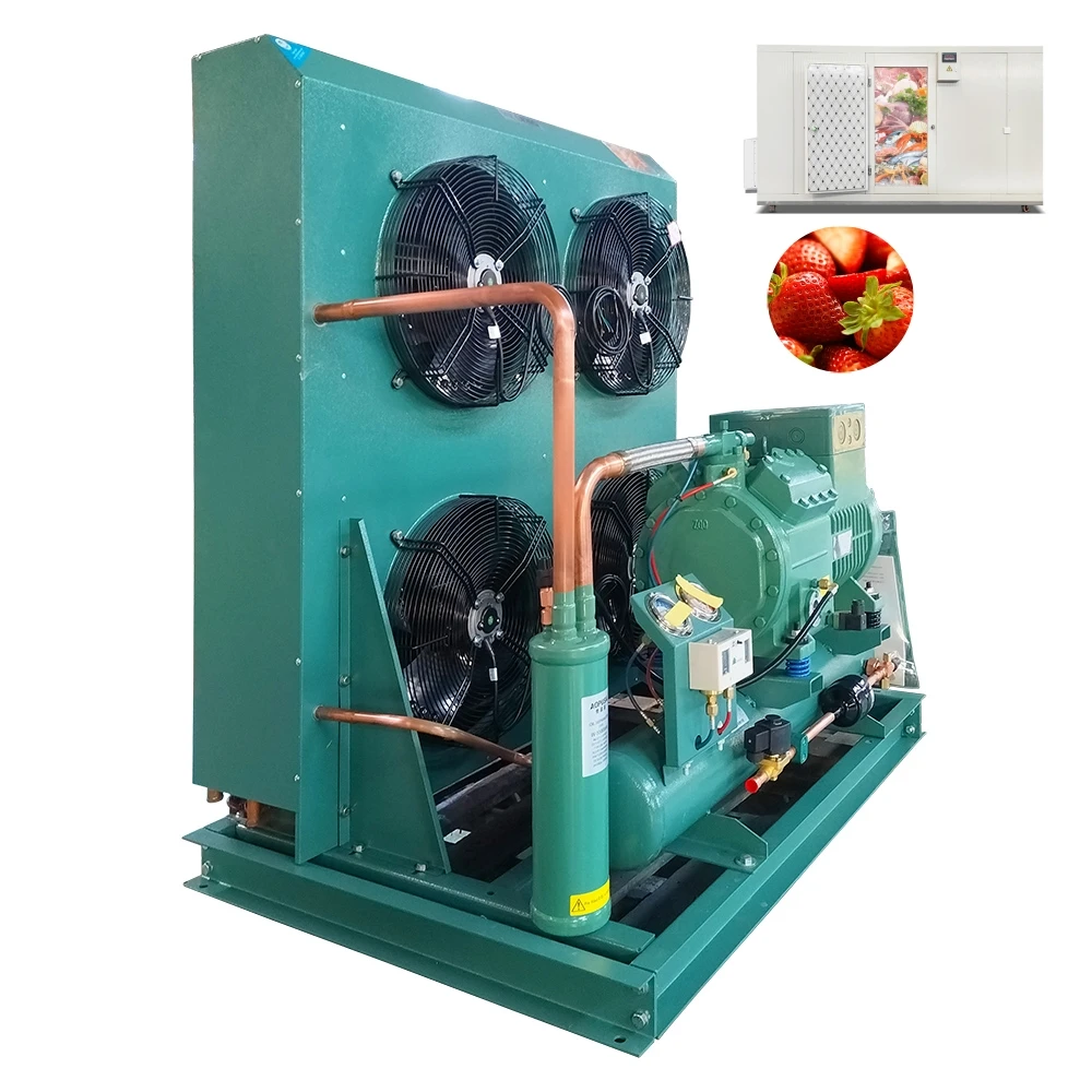 cold storage refrigeration unit full set of low temperature reciprocating semi-closed compressor for cold room