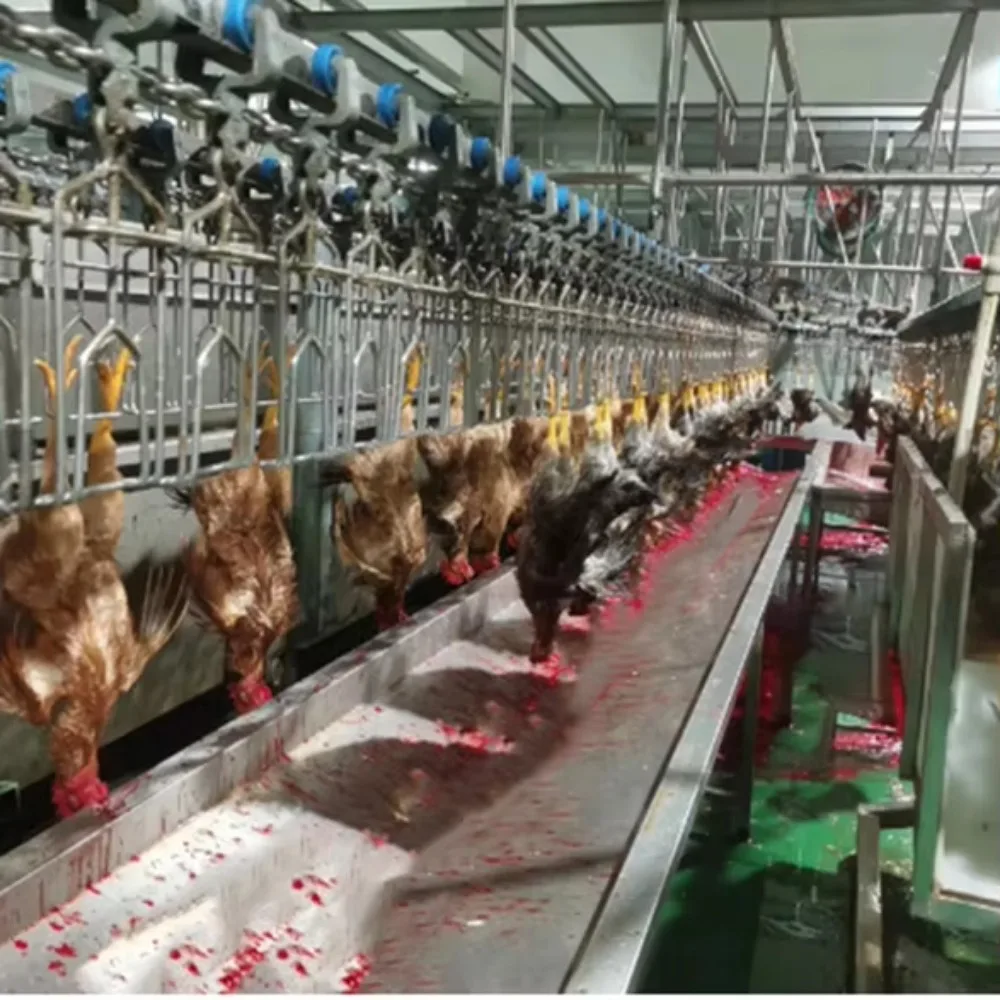 2000 BPH Carcass Plucking Machine Poultry Slaughter Equipment for Slaughterhouse Chicken Meat Processing Machine