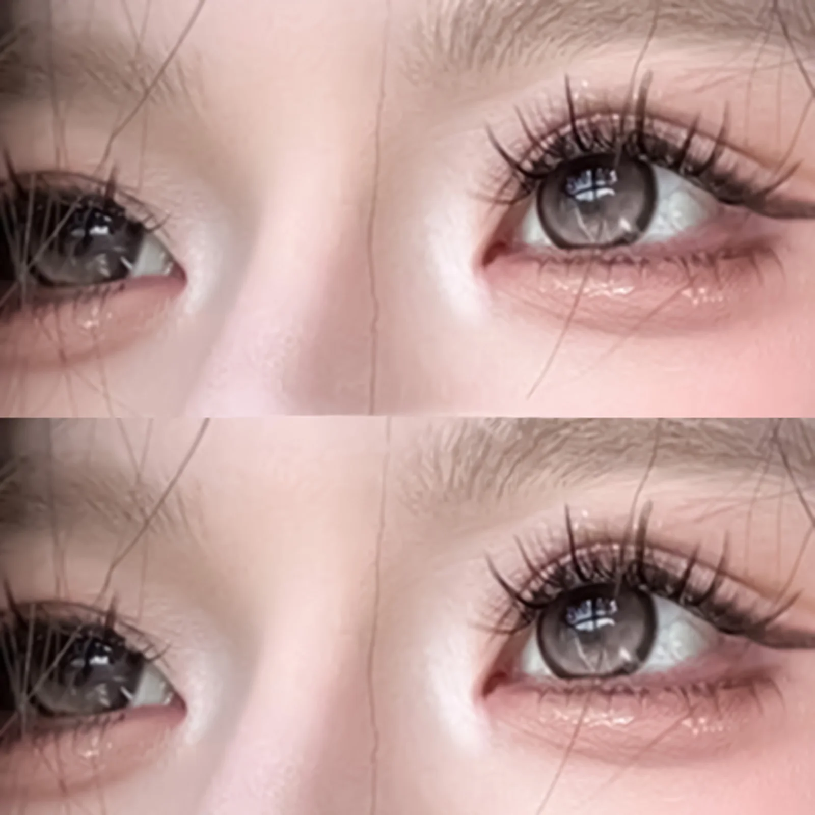 Clusters de pestañas individuales en forma de W sin pegamento, pestañas postizas negras de larga duración, autoadhesivas, extensión de pestañas cómicas de gran capacidad