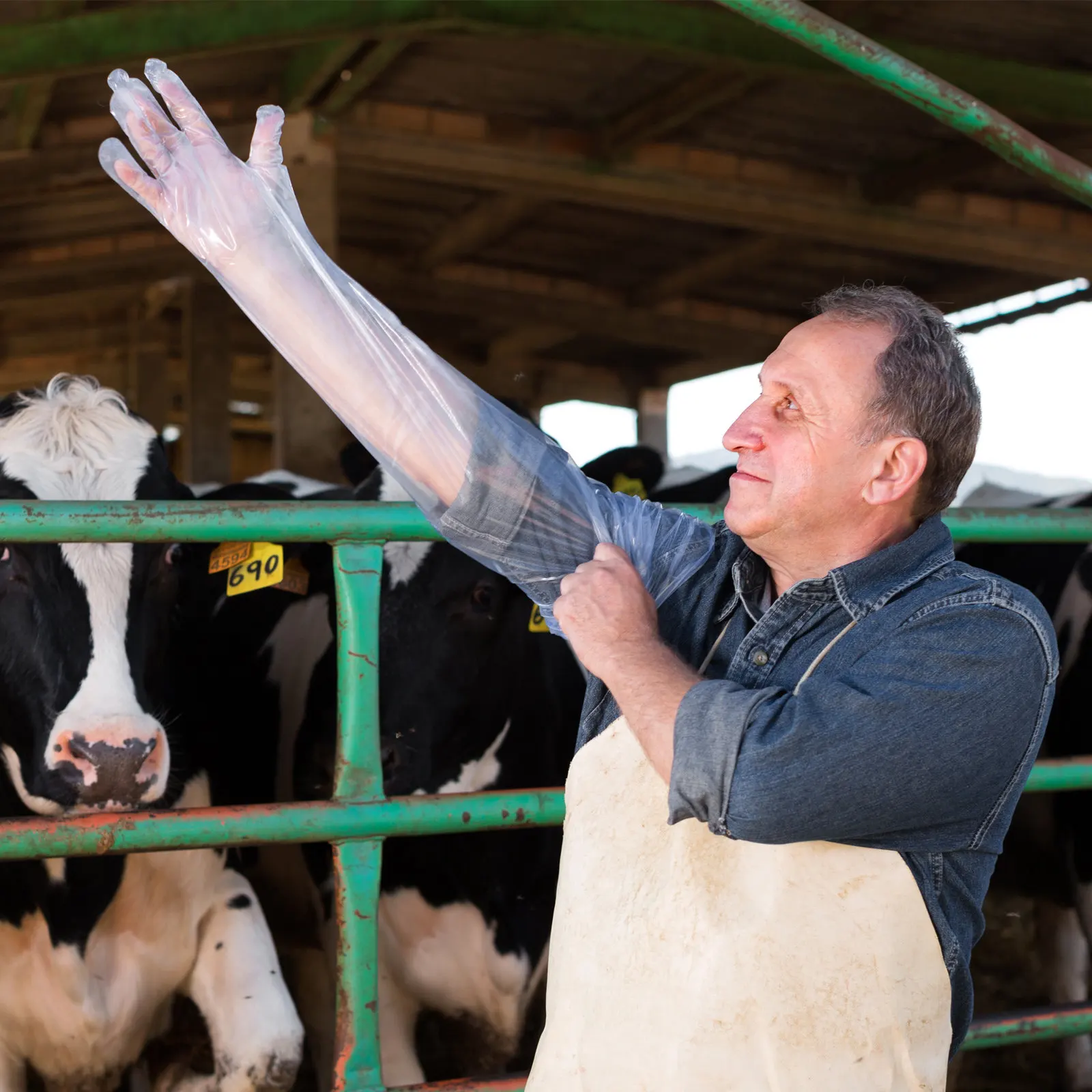 

100Pcs Veterinary Long Arm Gloves Shoulder Length Disposable Plastic Gloves for Animal Handling Cattle Snake Proof Full Arm