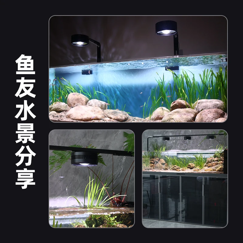 Fish tank light, native stream tank , algae explosion , full spectrum tube , UFO lighting, LED special