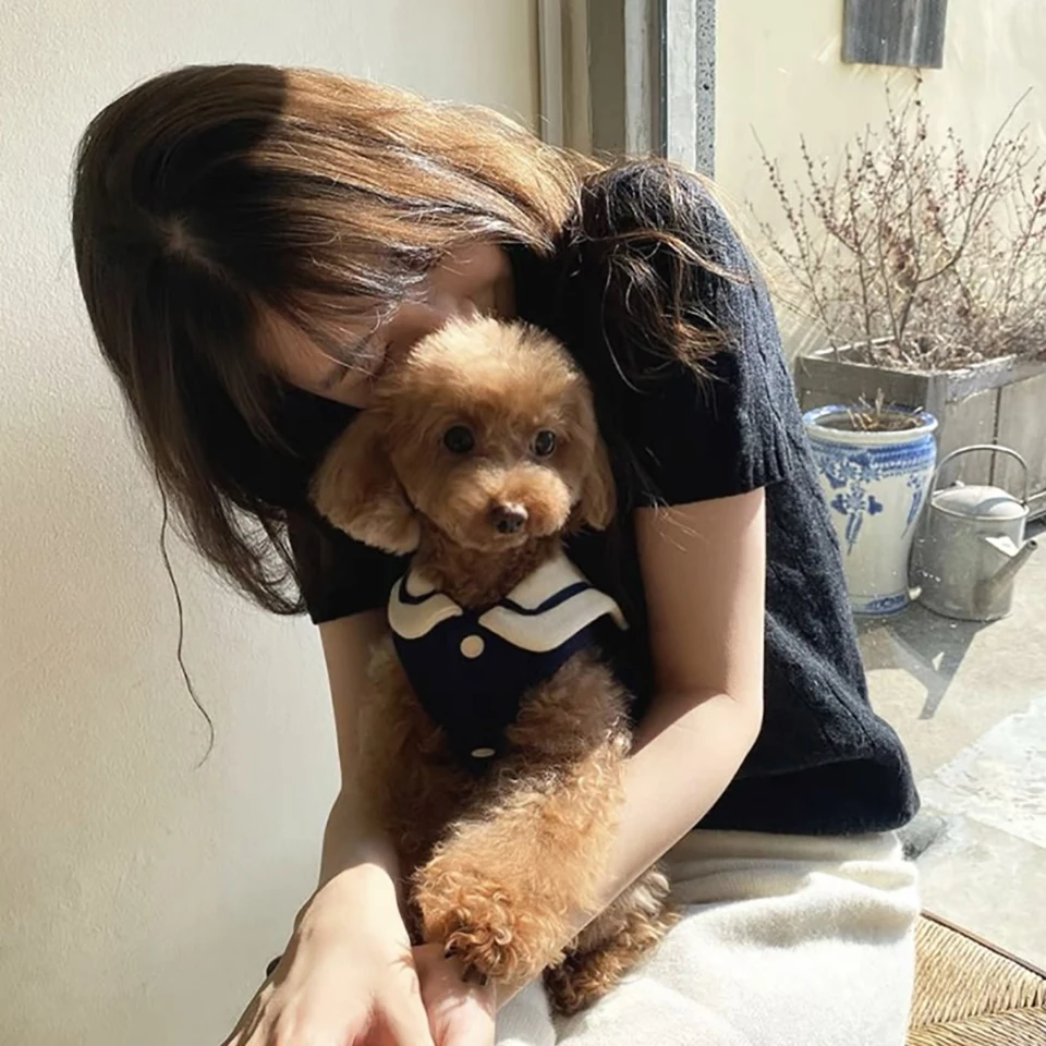 Blue Navy Collar Pet Clothes Teddy Bichon Frise Summer Vest Small Dog Solid Color Pullover Maltese Short Sleeve