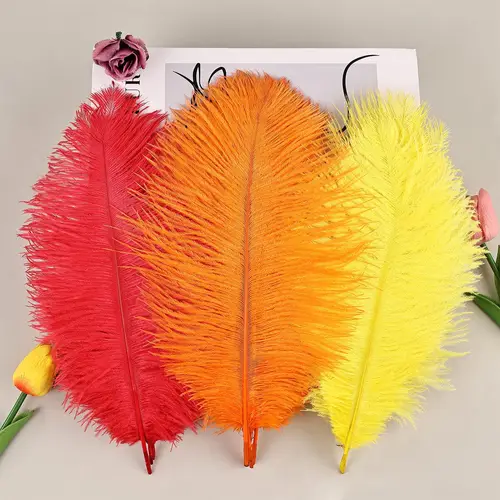 Imagen 2 del producto 10 Uds plumas de avestruz plumas naturales rojas 20-55CM para costura de ropa escena de fiesta de boda y decoración del hogar