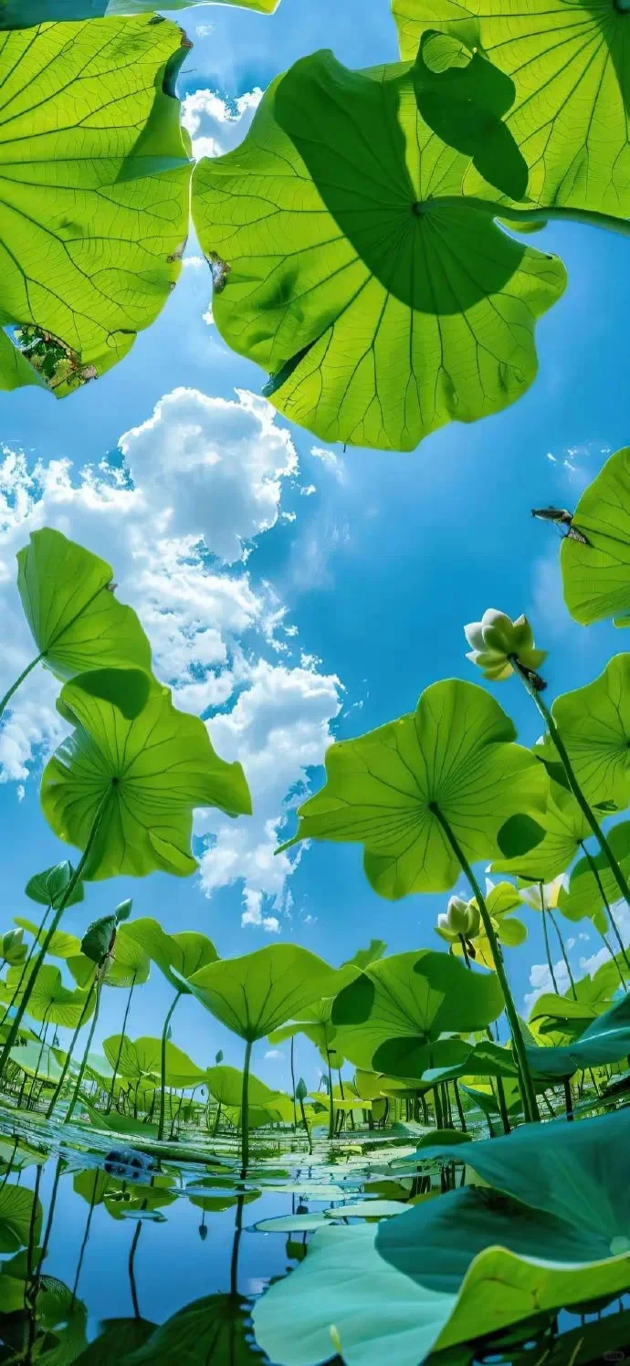 40V 6000MAH Lithium…