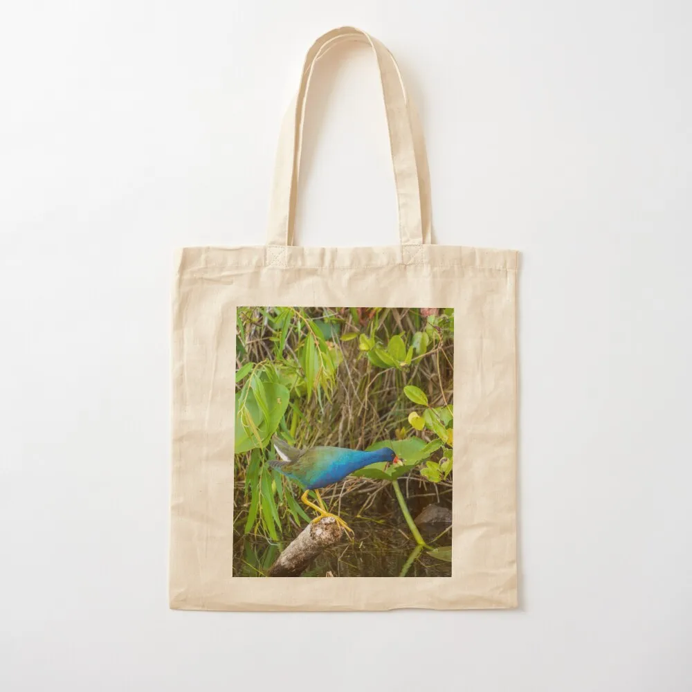 

Colorful Bird Everglades National Park Tote Bag tote bag men's Canvas Women's shopper bag Canvas Tote