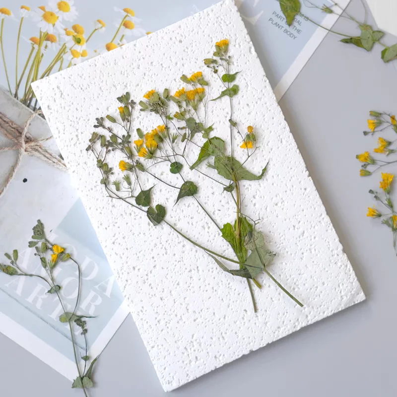 1Set Pressed Dried Potentilla - огляд і ціна Dried Flower Bookmark