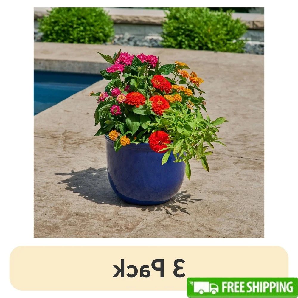 

3 Pack 12 Inch Round Planter with Drainage Holes Lightweight Durable Weather Resistant Indoor Outdoor Use Polyethylene Gardening
