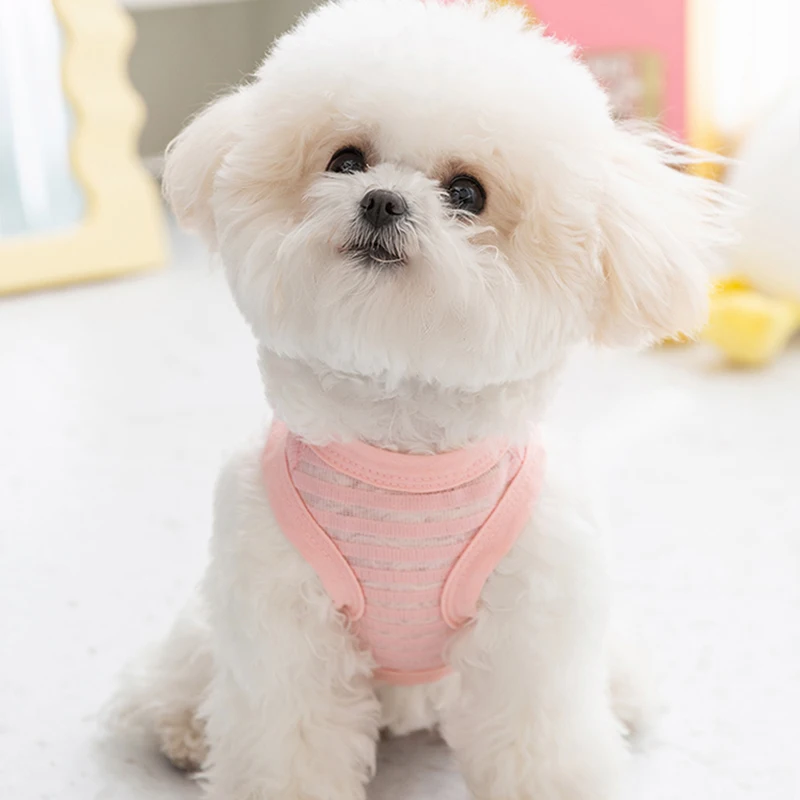 Hollow Out Striped Dog Clothes Spring Summer Pet Two Leg Vest Breathable Light Bear Traction Teddy Vest Cat Cute Clothes