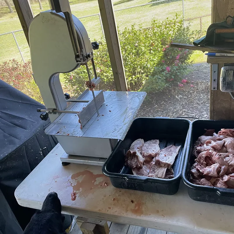 

Stainless Steel Saw for frozen fresh meat fish cutting for butcher workshop and commercial food processing