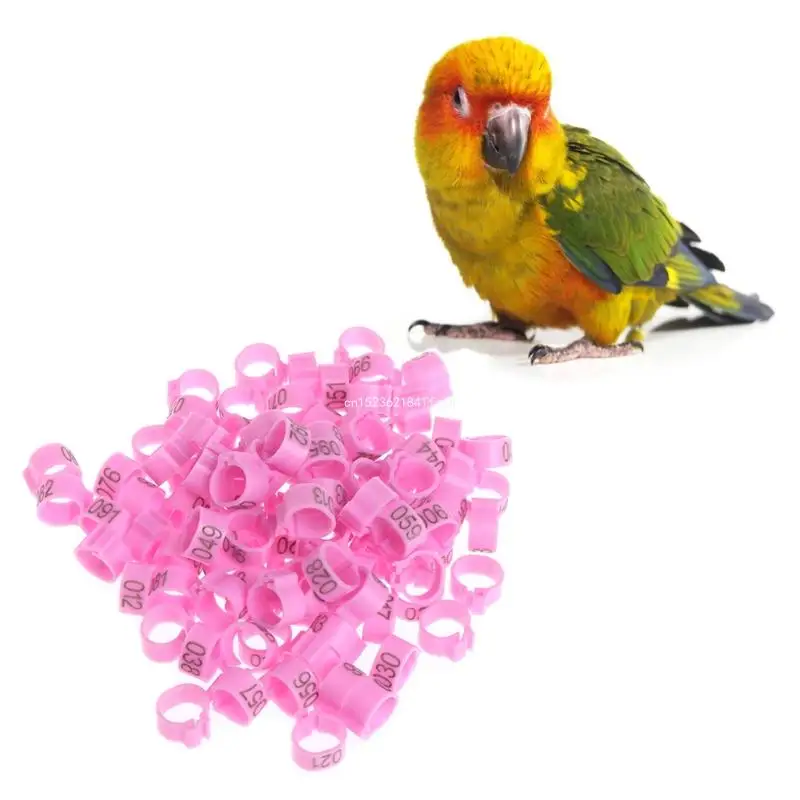 100-Pack Bird Ring Leg Bands Plastic Foot Clip Rings for Pigeon Poultry 10mm Dropship