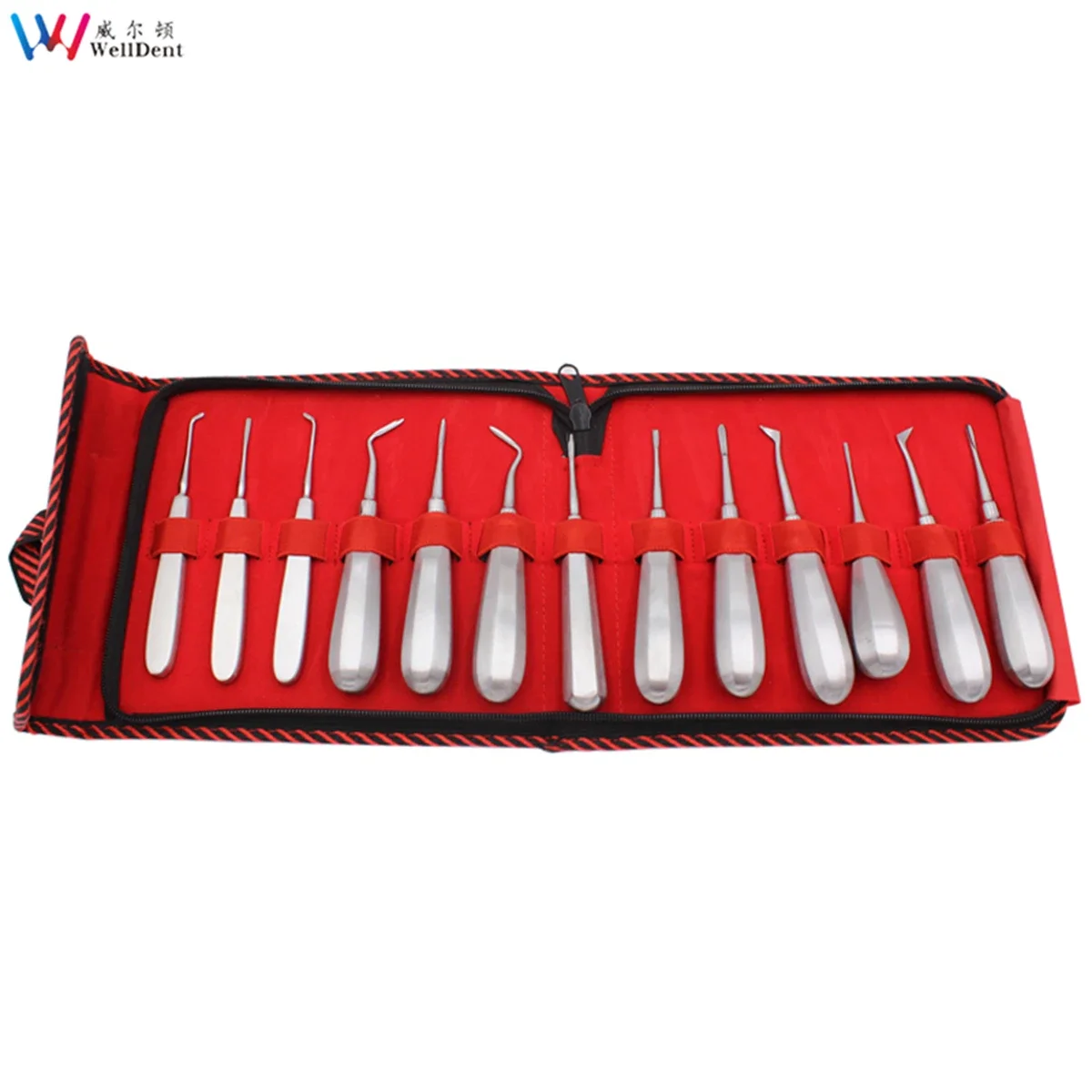 13Pcs/set Dental Elevator Stainless Steel Tooth Dentist Tools Kit Straight Curved Root Elevator Stainless Steel Dental Luxating