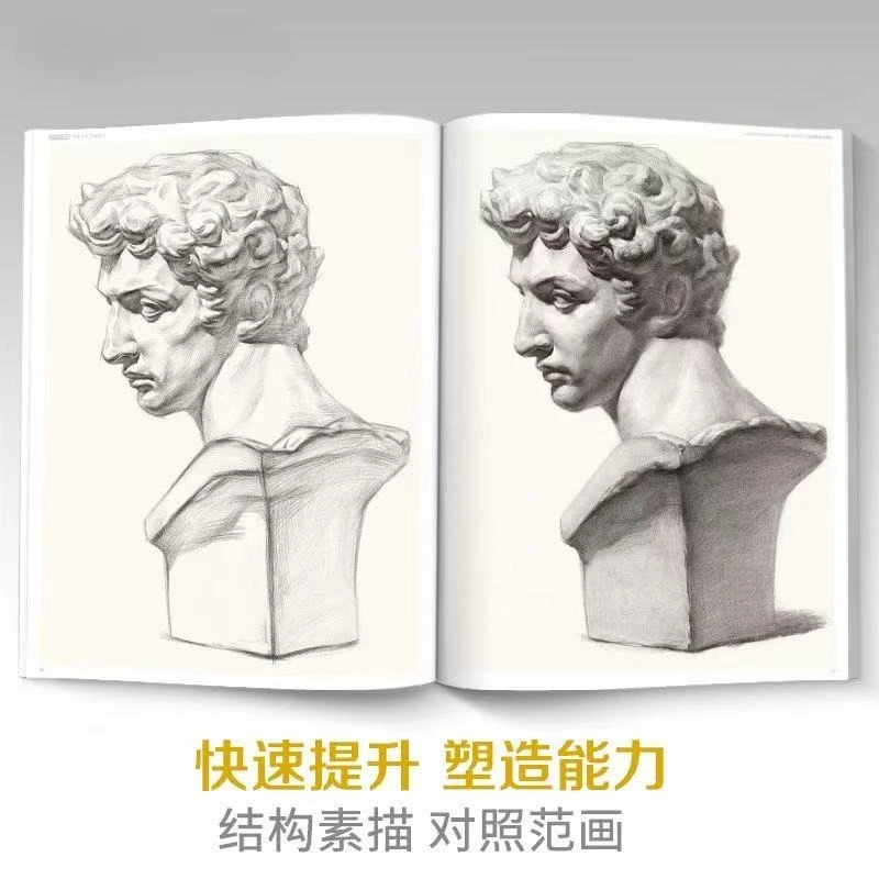 Compreendir Esboçar Estátua de Gesso: Uma Análise Integral de Técnicas em 18 Capítulos