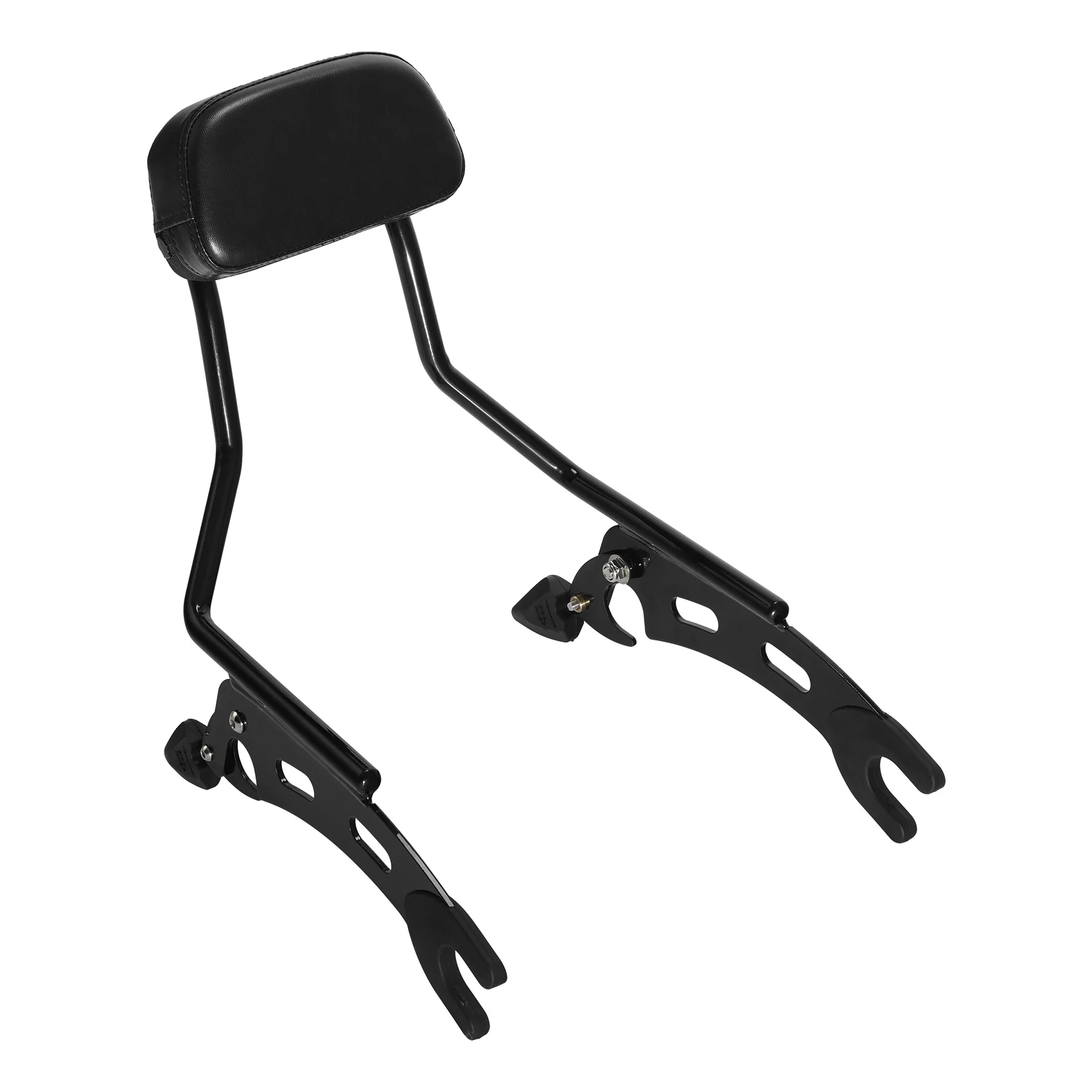 Passenger Sissy Bar…