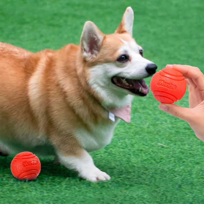 #44 Trending Dog Balls Right Now