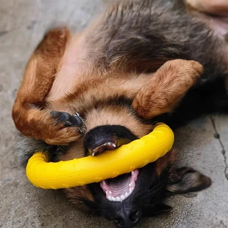 Dog Ring Toys Indestructible C - đánh giá và giá Indestructible Dog Chew Toy