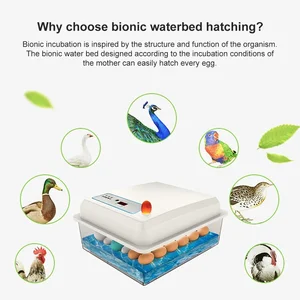 Vollständig automatischer Ei -Inkubator -Set, häusliche Brutfärbung, Farmhähnchen, Gänse, Ente, Vogel, 20 Eier 8 Hauptverkäufe inkubieren - №3