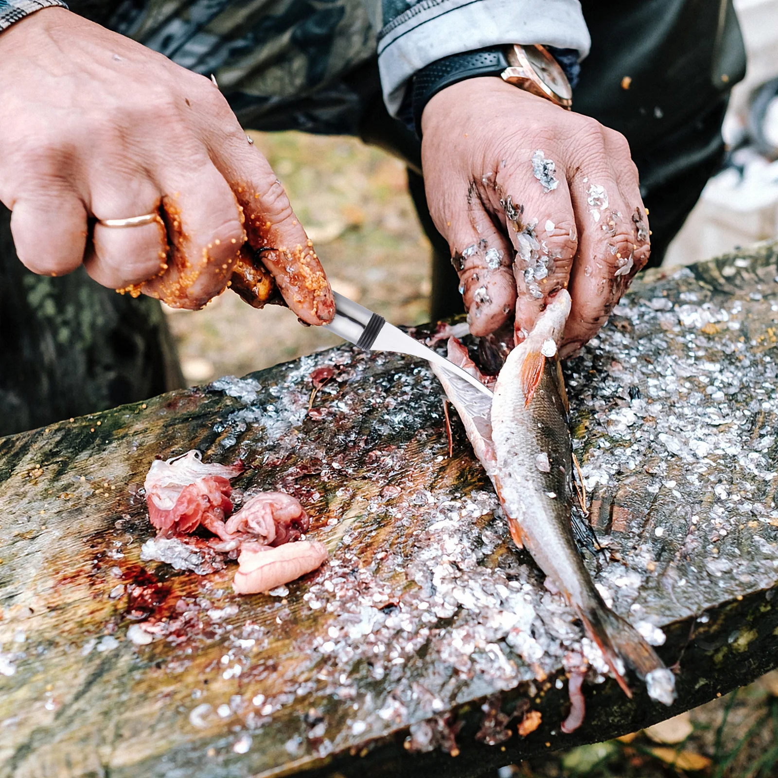 

5 Pcs Picking Shrimp Intestine Tool Deveiner Stainless Steel Peeler Opener Kitchen Gadget Line Remover Cutter