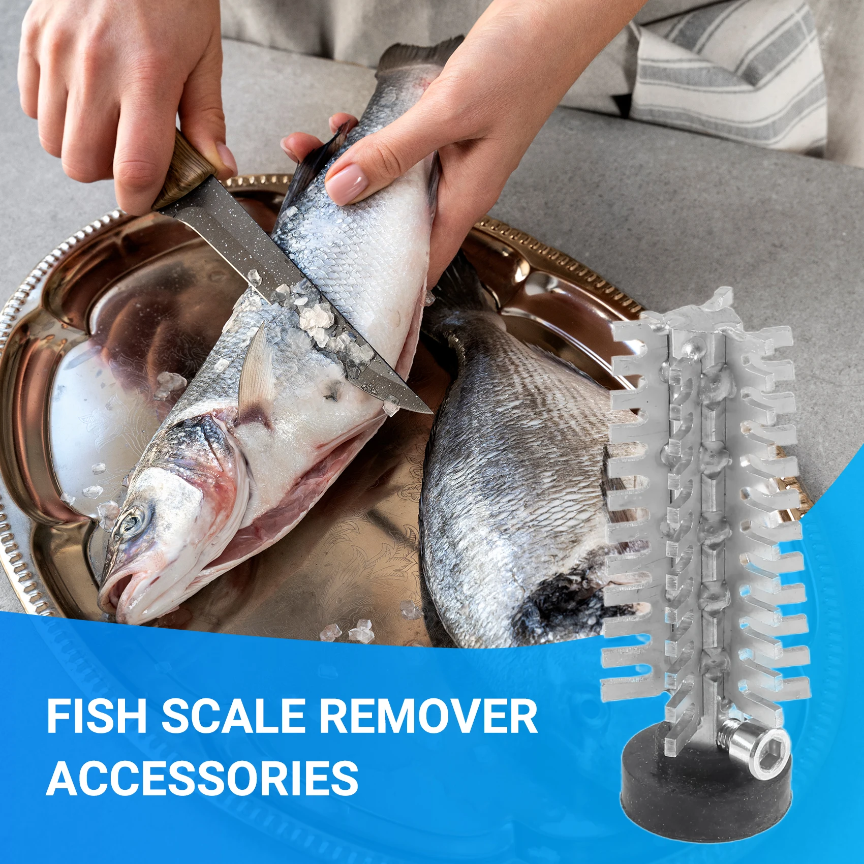 At44-Fish Scale Rem…