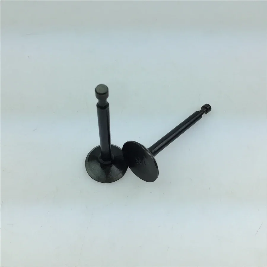 Auto repair parts gasoline generator pumps 168F / 170F 2KW 2.5KW 2.8KW 2-inch 3-inch intake and exhaust valves