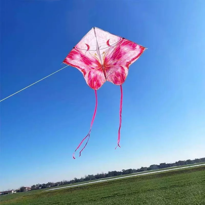 free shipping butterfly kites for adults professional kite wind kite for children kite surfing Outdoor toys ripstop nylon fabric