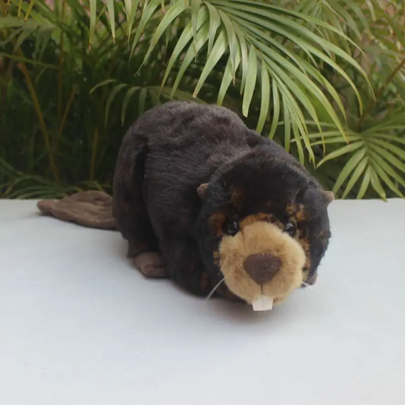 

Simulation Animal Beaver Plush Toy Cute Big Board Tooth Animals Doll Children's Gift 25x15cm DY10391