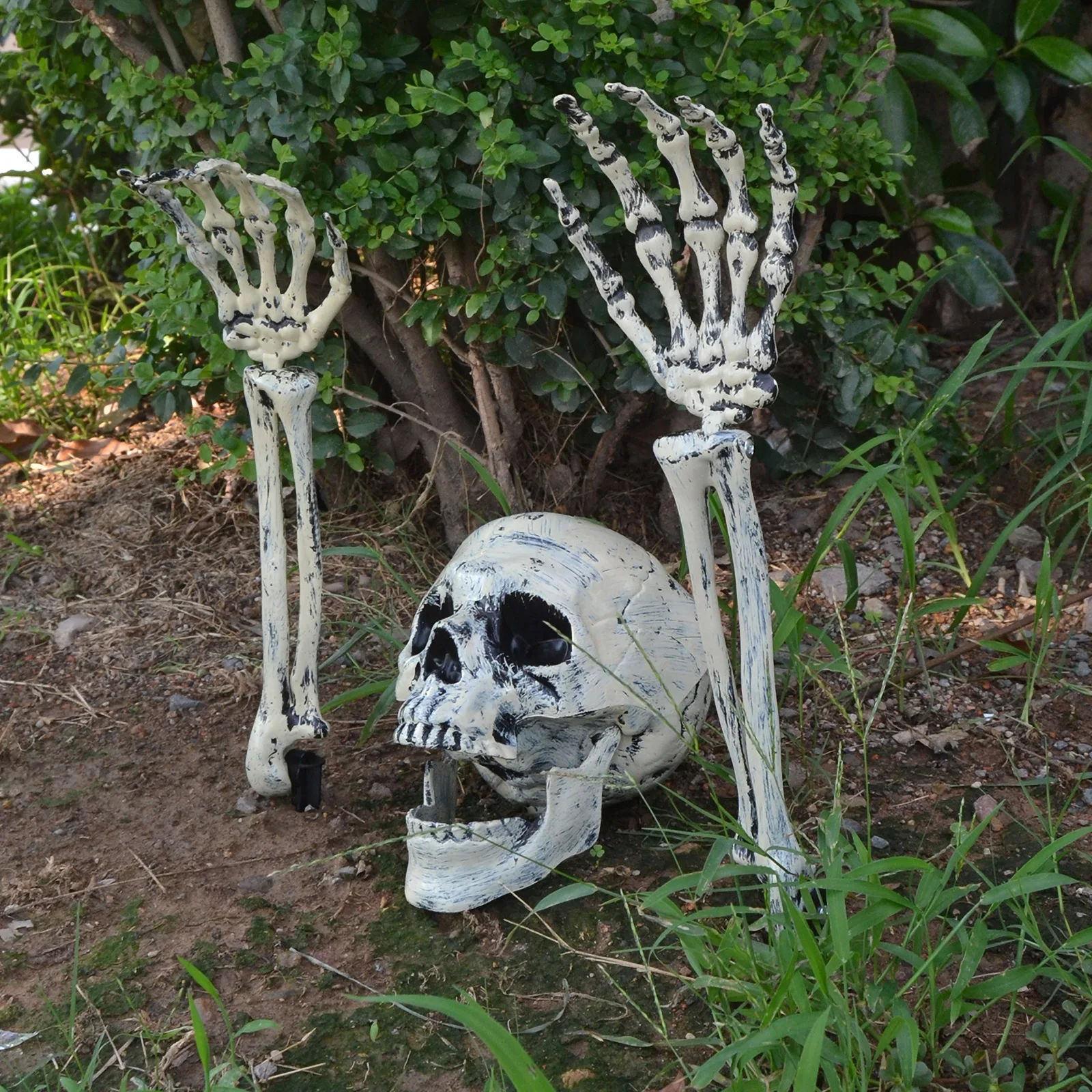 ‌Skeleton Ground Stake‌ - Realistic Skull Garden Decor for Halloween