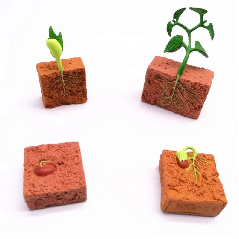 

Hot Montessori Education Fun Toys Early Childhood Learning Science