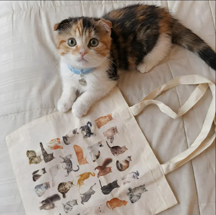 Vintage Cat Illustration Tote Bag Kawaii Artistic Aesthetic Canvas Tote Bag Versatile Casual Gift for Cat Enthusiasts Fashion